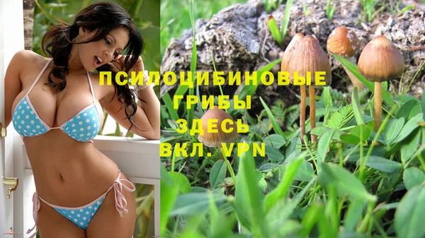 прущие крисы Абдулино