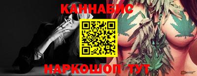 гашик Тара