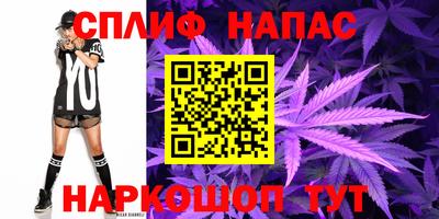 мдпв Тула