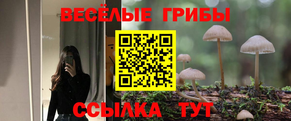 Псилоцибиновые грибы Psilocybine cubensis Симферополь